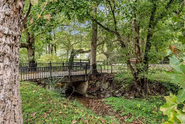 a view of a tree in front of a house