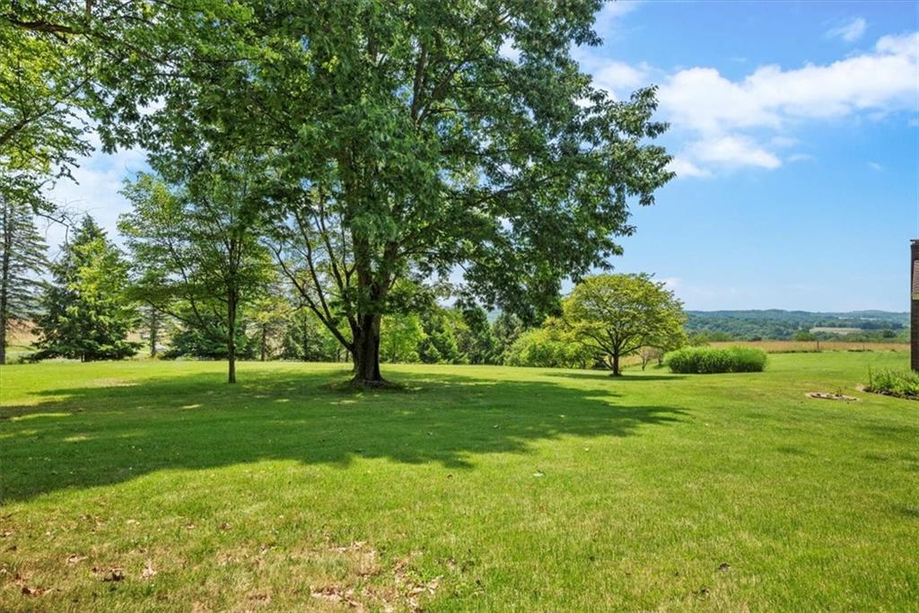 138 Stepp Road Sarver, PA 16055 - Photo 37 of 46 a big yard with lots of green space and trees