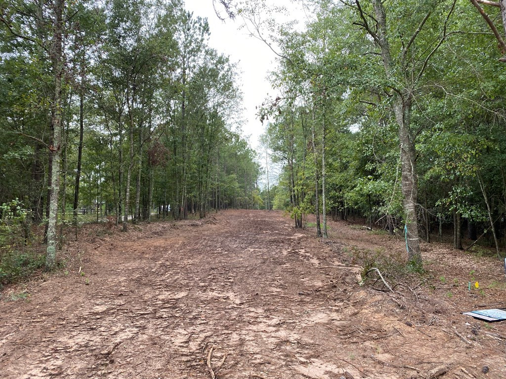 Tbd Implement Road Aiken, SC 29803 - Photo 6 of 8