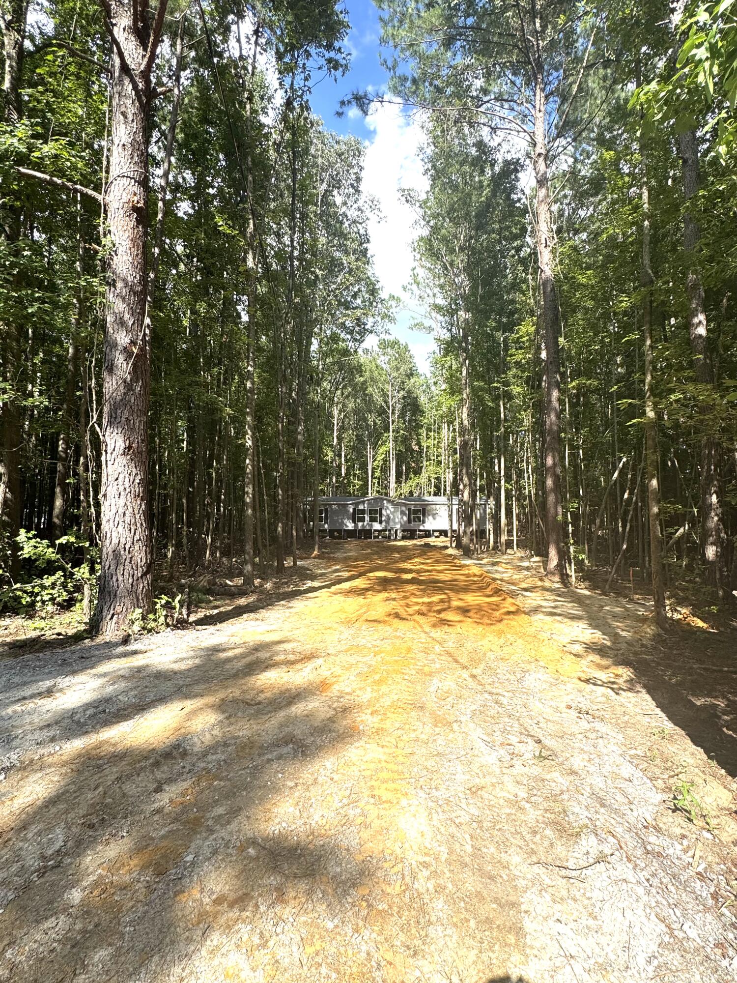 226 Alton Way Cottageville, SC 29435 - Photo 7 of 19 IMG_3052