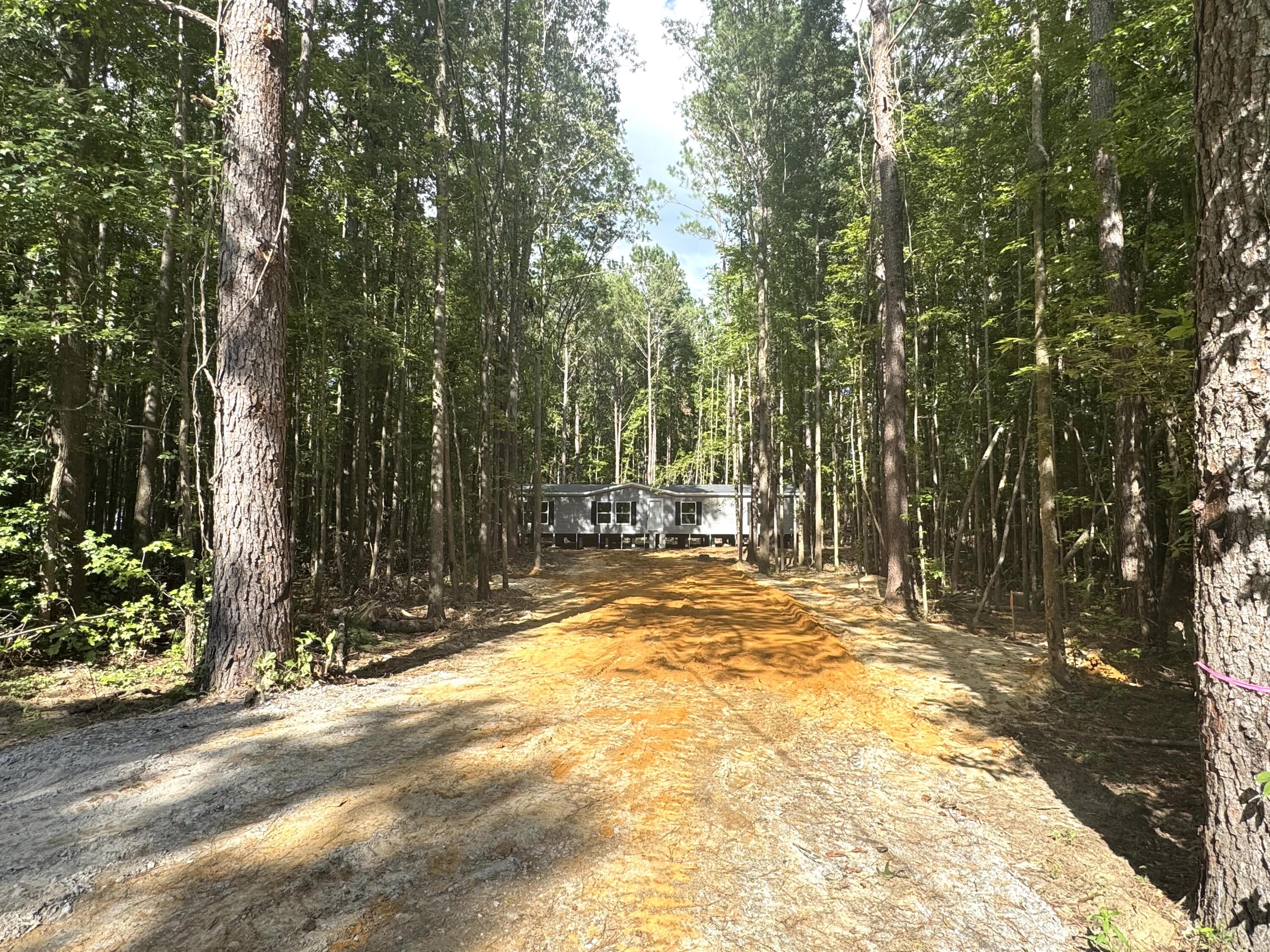 226 Alton Way Cottageville, SC 29435 - Photo 8 of 19 IMG_3051