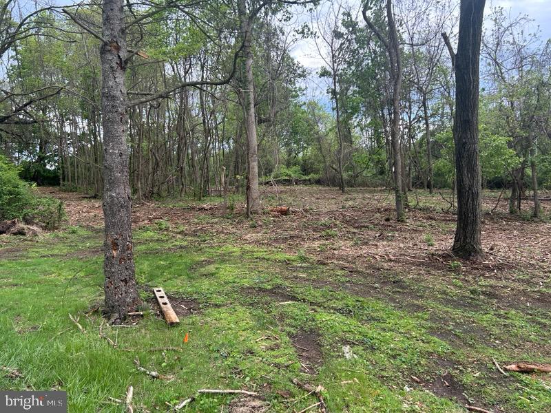 220 Fairview Road Glenmoore, PA 19343 - Photo 13 of 14 a view of a forest with trees in the background