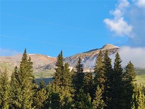 22 Ron's Road Alma, CO 80420 - Photo 5 of 27 Mountain view