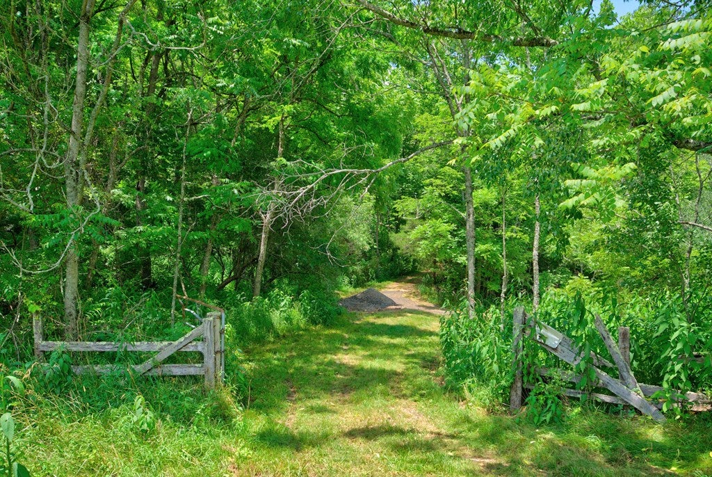 4436 Cedar Springs Road Rural Retreat, VA 24368 - Photo 57 of 78 Gallery Image 57