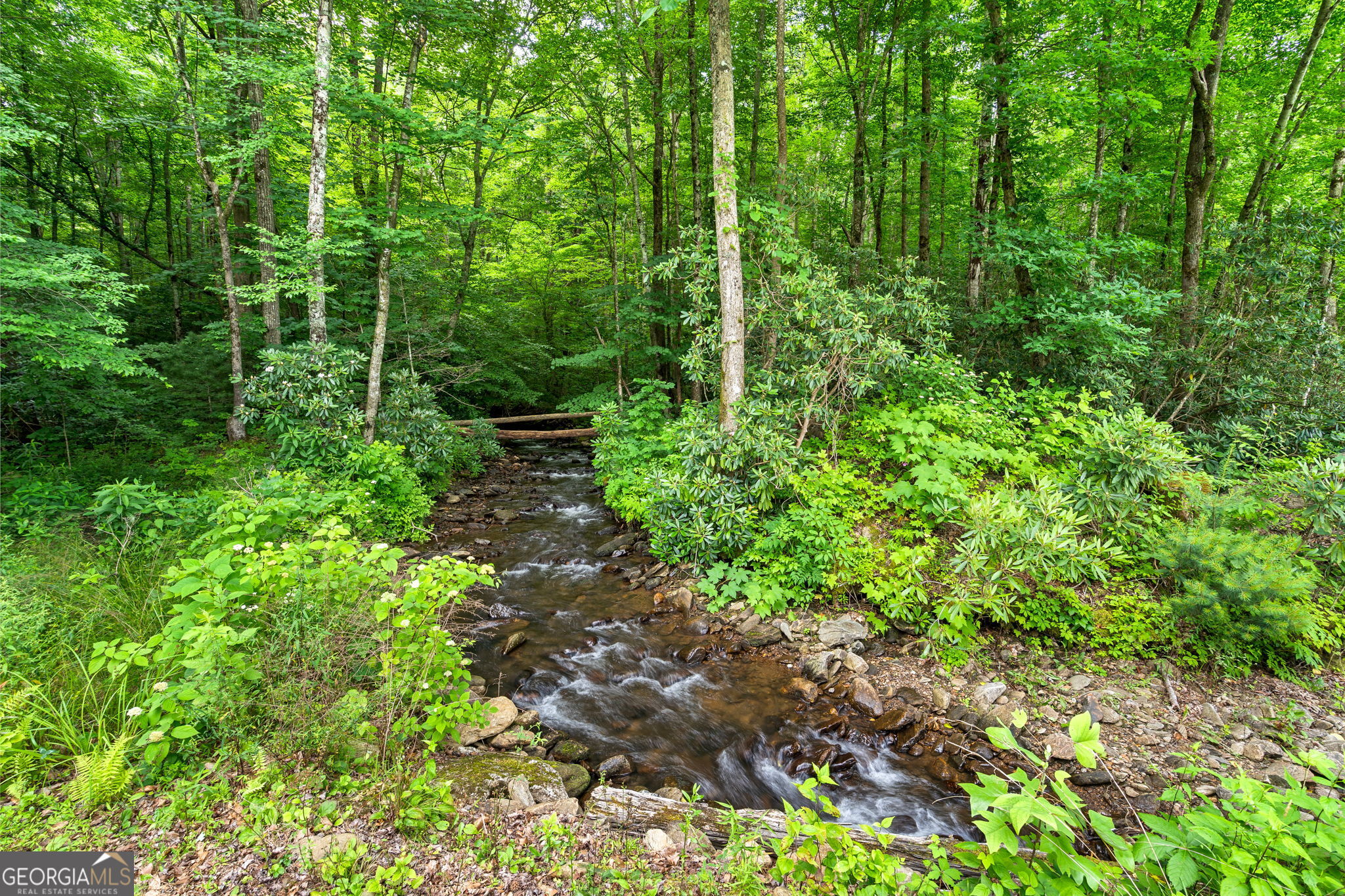 1449 Muskrat Creek Road Hayesville, NC 28904 - Photo 39 of 67