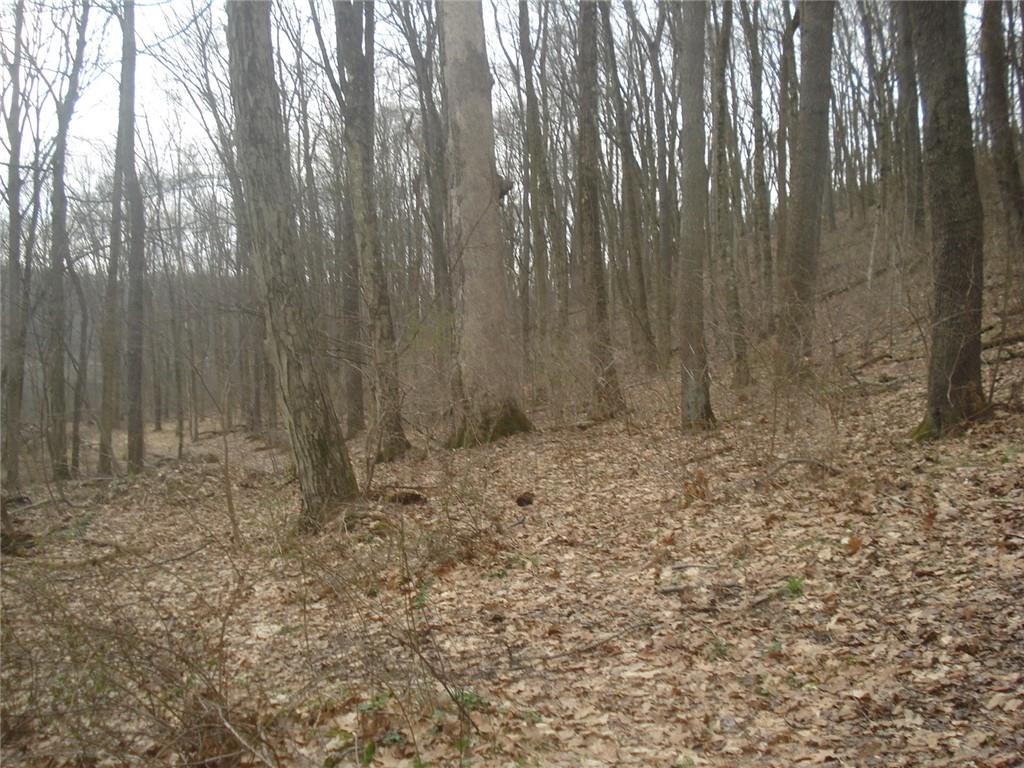 0 Mcdevitt Sewickley, PA 15143 - Photo 12 of 17