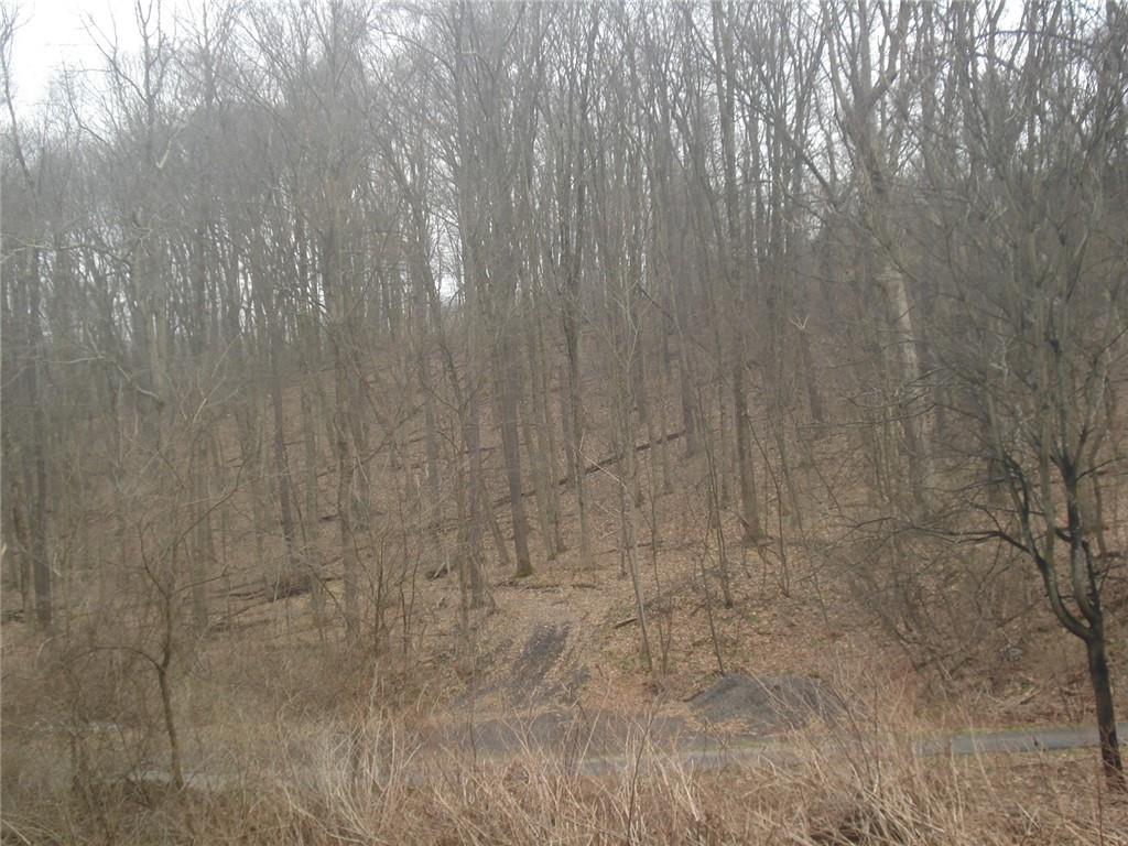 0 Mcdevitt Sewickley, PA 15143 - Photo 15 of 17