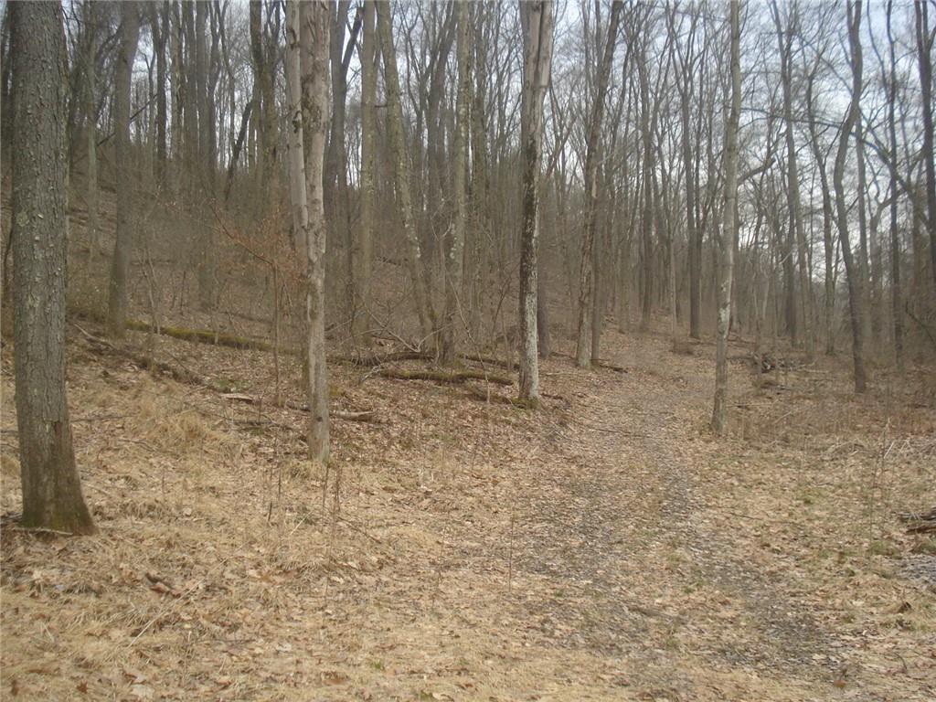 0 Mcdevitt Sewickley, PA 15143 - Photo 5 of 17