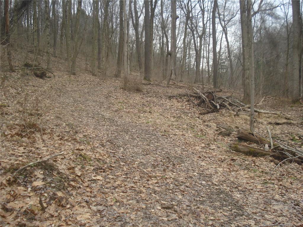 0 Mcdevitt Sewickley, PA 15143 - Photo 7 of 17