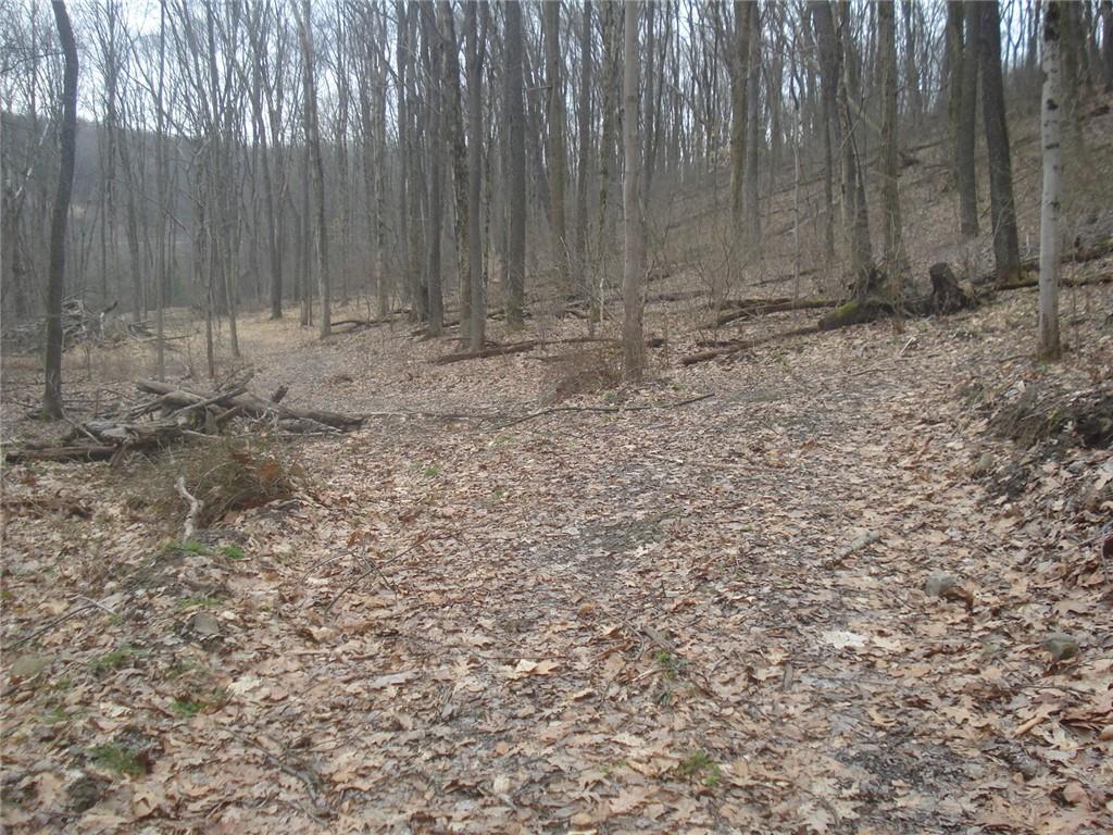 0 Mcdevitt Sewickley, PA 15143 - Photo 9 of 17