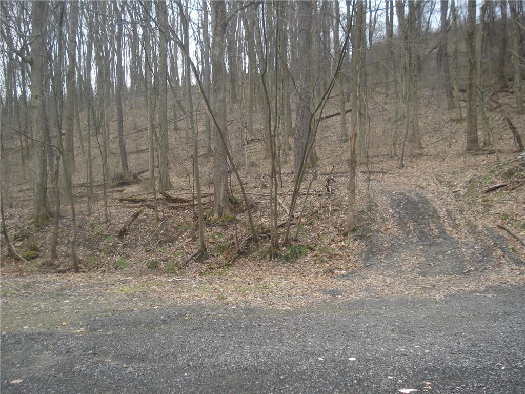 0 Mcdevitt Sewickley, PA 15143 - Photo 10 of 17