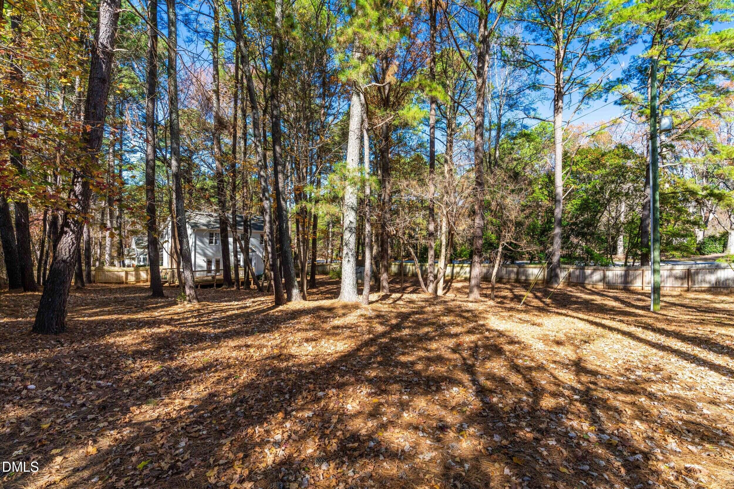 10716 Marthas Way Raleigh, NC 27615 - Photo 28 of 32 a view of road with trees