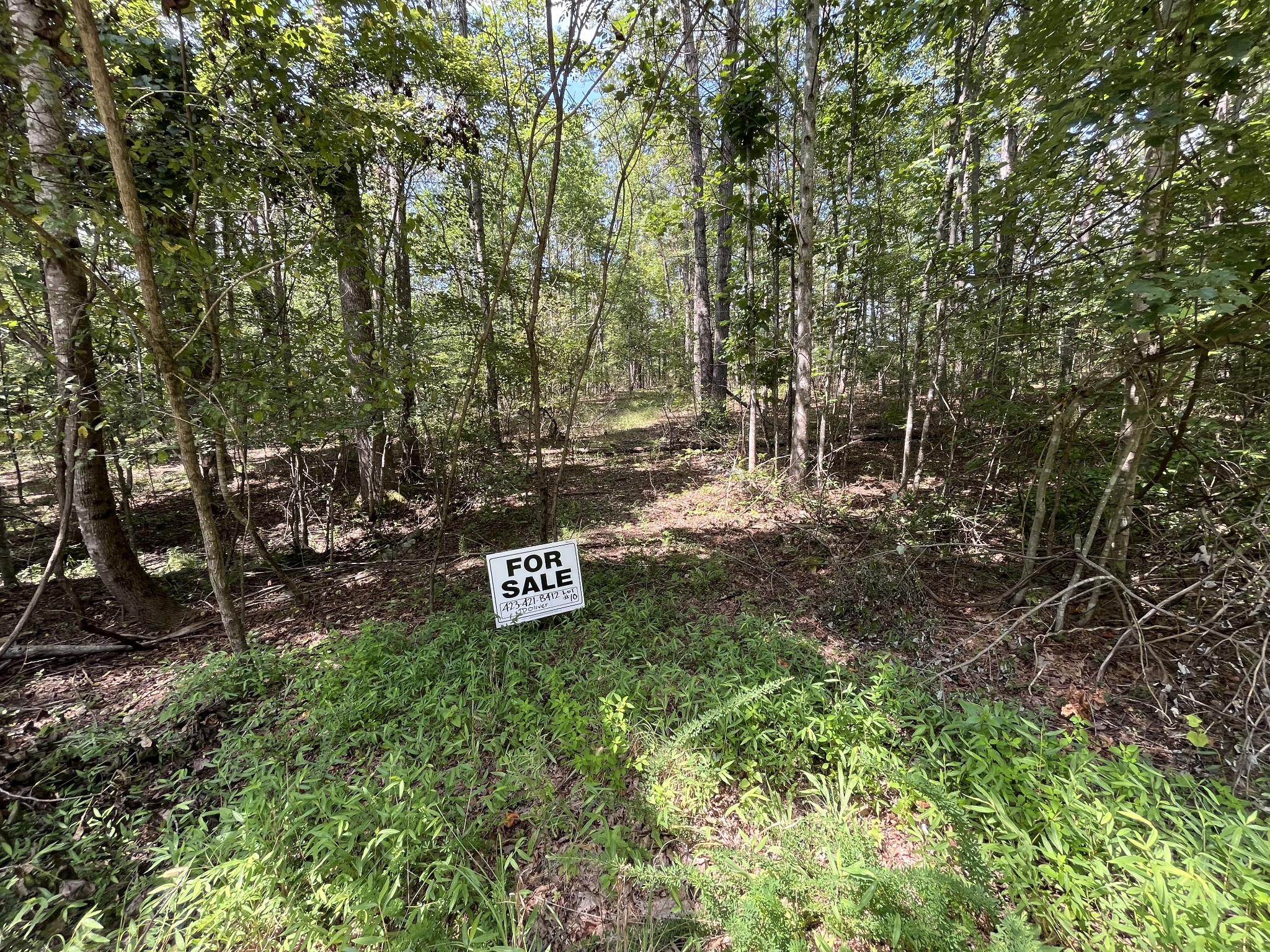 201 Blackberry Farm Road Monteagle, TN 37356 - Photo 1 of 2 a view of a chairs in a backyard
