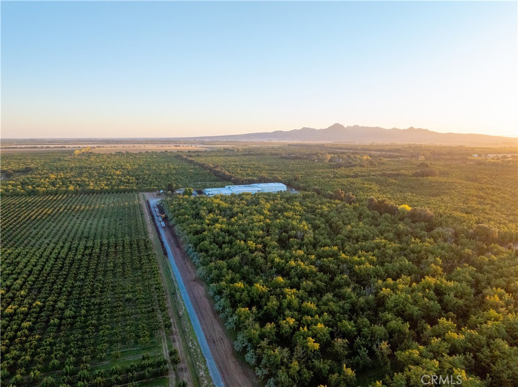 459 West Evans Reimer Road Gridley, CA 95948 - Photo 1 of 1