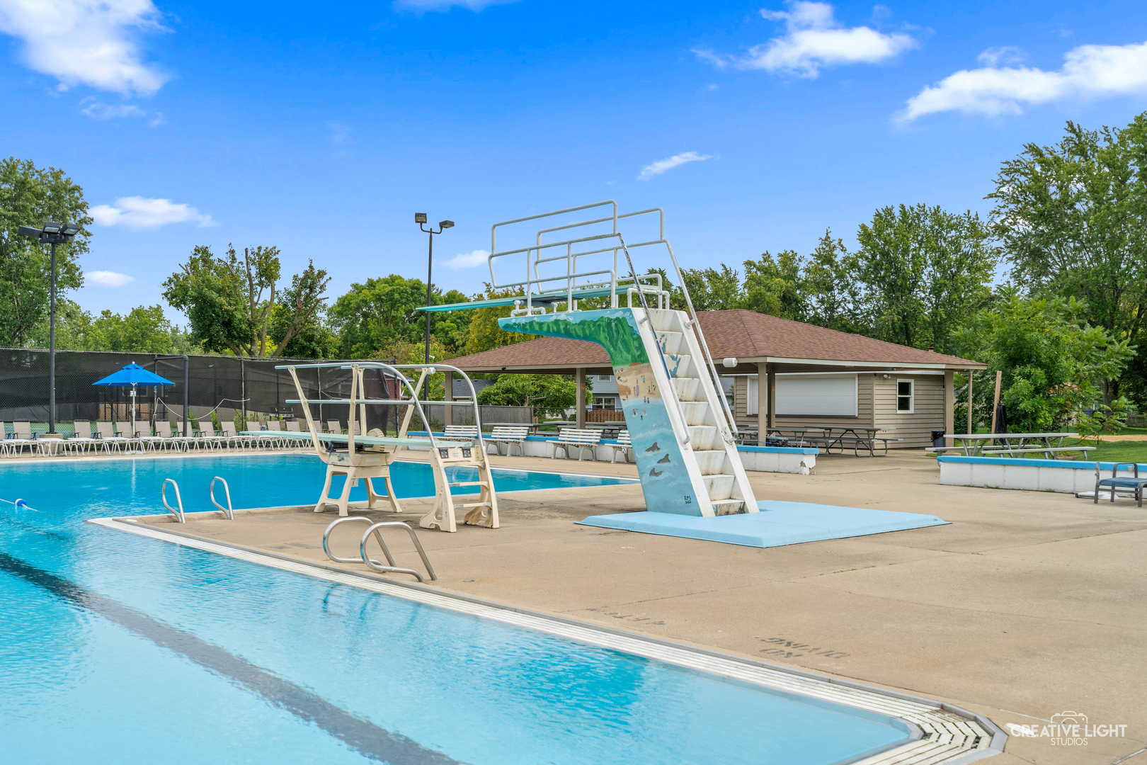 1644 Riparian Drive Naperville, IL 60565 - Photo 57 of 66