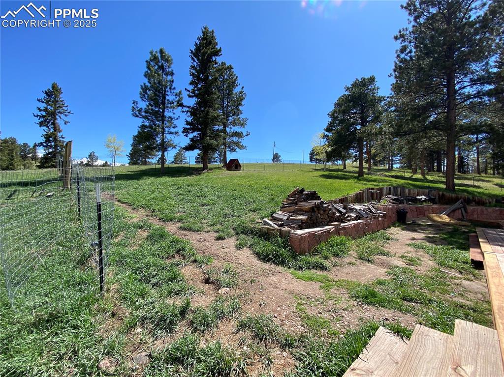 845 Markus Road Woodland Park, CO 80863 - Photo 27 of 40 a view of a garden with lots of trees