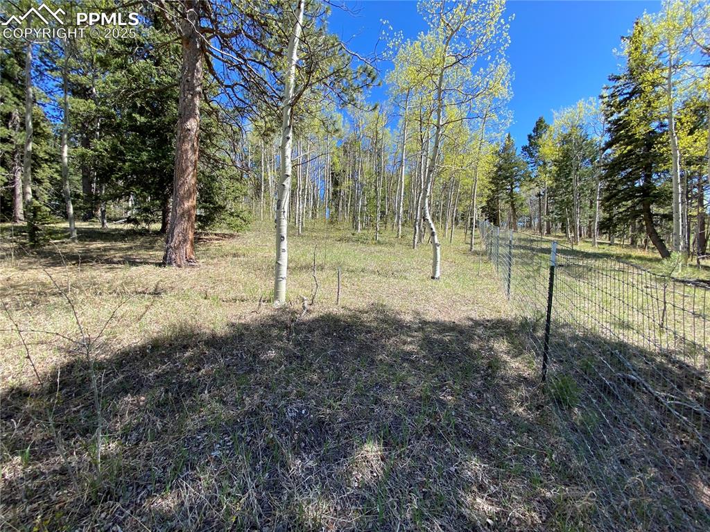 845 Markus Road Woodland Park, CO 80863 - Photo 34 of 40 a view of backyard with green space