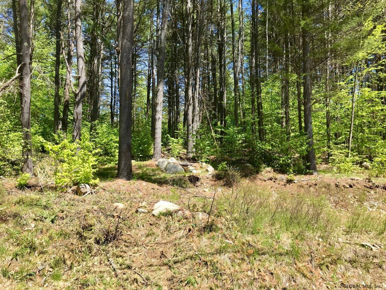 0 North Shore Road Hadley, NY 12835 - Photo 8 of 14 Photo 8