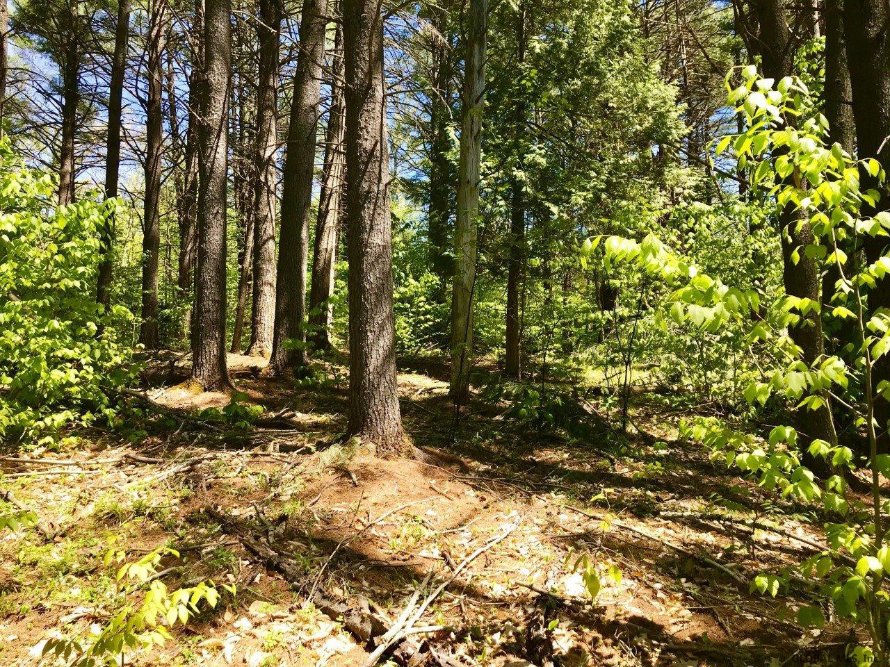 0 North Shore Road Hadley, NY 12835 - Photo 9 of 14 Photo 9