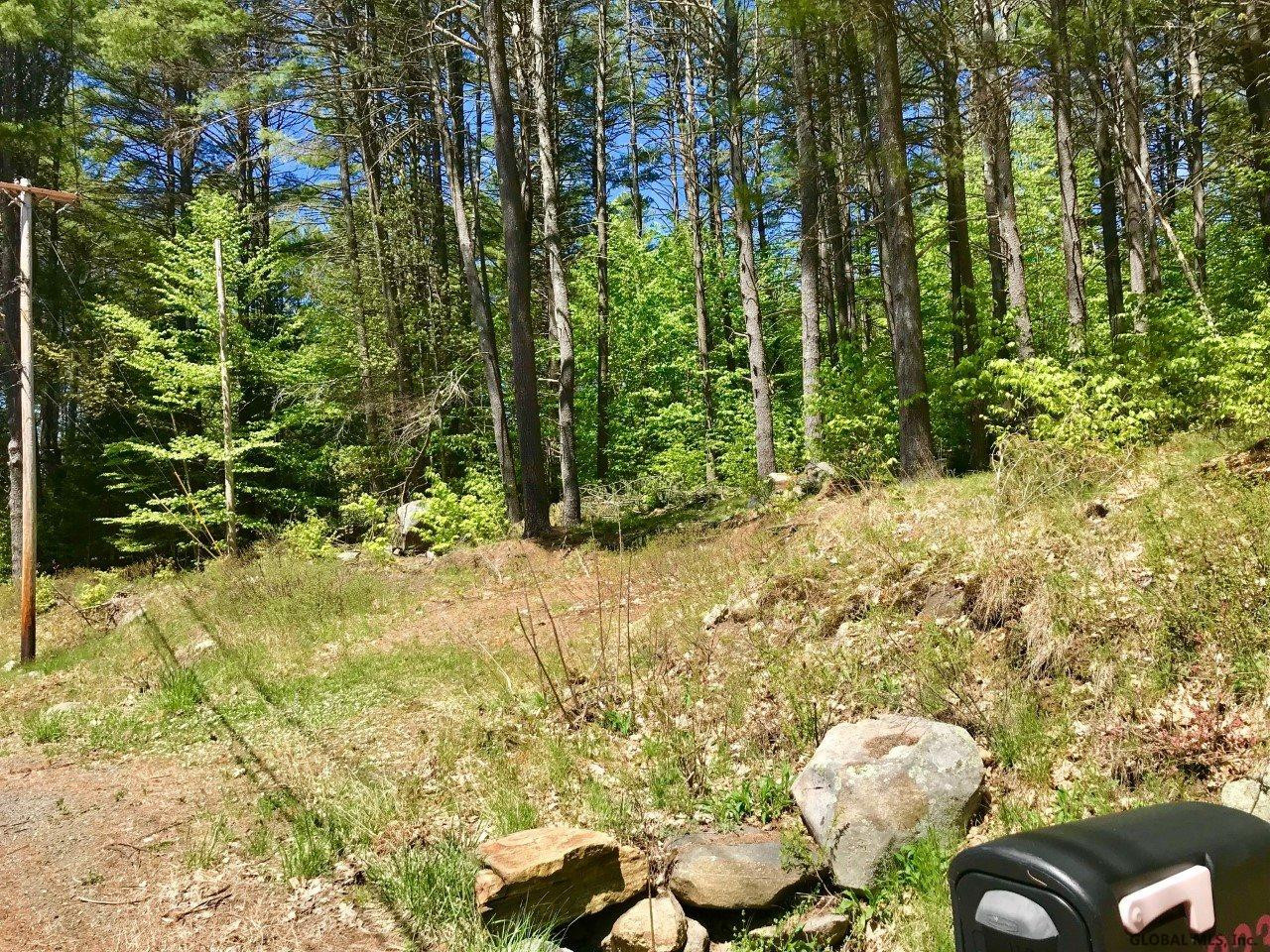 0 North Shore Road Hadley, NY 12835 - Photo 10 of 14 Photo 10
