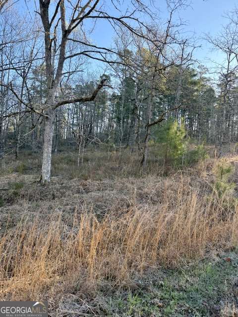 0 River Ridge Trail, Unit 396 Sparta, GA 31087 - Photo 3 of 3 a backyard of a house with lots of green space