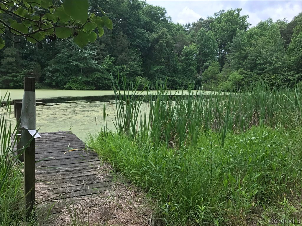1601 Genito Road Crozier, VA 23039 - Photo 2 of 13 a garden view with a lake view