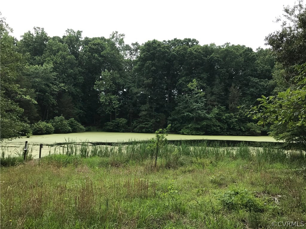 1601 Genito Road Crozier, VA 23039 - Photo 3 of 13 a view of a lake view with a large tree