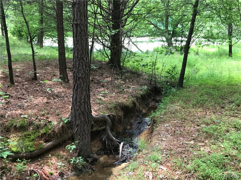 1601 Genito Road Crozier, VA 23039 - Photo 4 of 13 a view of a forest with trees