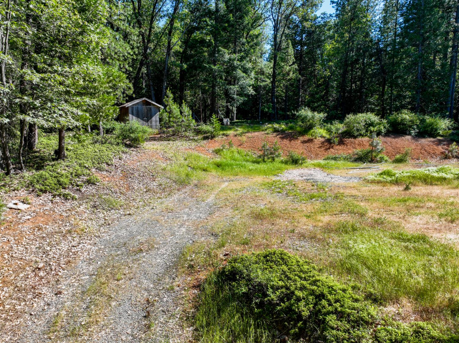 30220 Magra Road Gold Run, CA 95717 - Photo 18 of 51