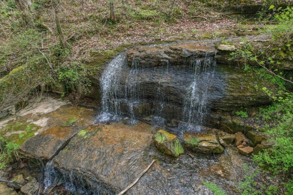 7941 Fernvale Road Fairview, TN 37062 - Photo 54 of 57