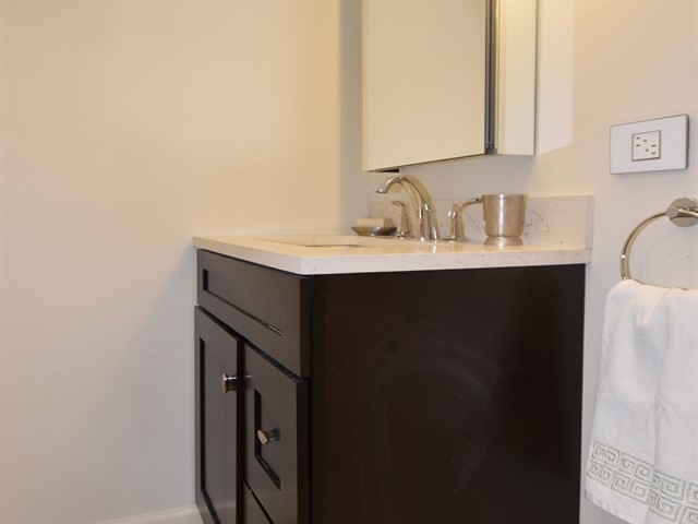7715 East Prairie Road Skokie, IL 60076 - Photo 24 of 26 a bathroom with a sink and a mirror
