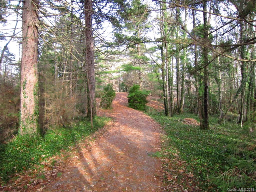 250 Warren Wilson Road Swannanoa, NC 28778 - Photo 34 of 36 Gallery Image 34