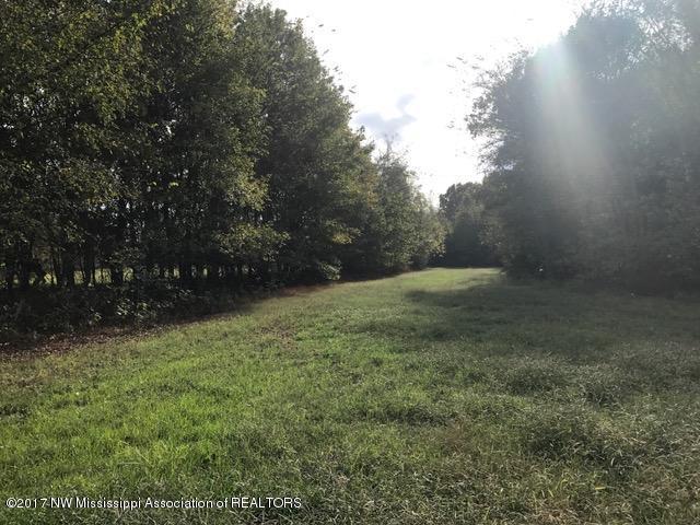 64 Holly Springs Road Hernando, MS 38632 - Photo 1 of 17 IMG_7735