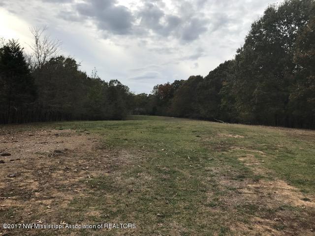 64 Holly Springs Road Hernando, MS 38632 - Photo 11 of 17 IMG_7747