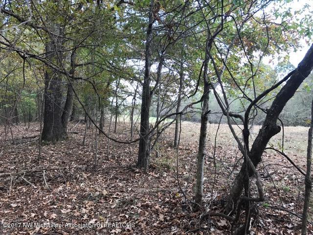 64 Holly Springs Road Hernando, MS 38632 - Photo 13 of 17 IMG_7749