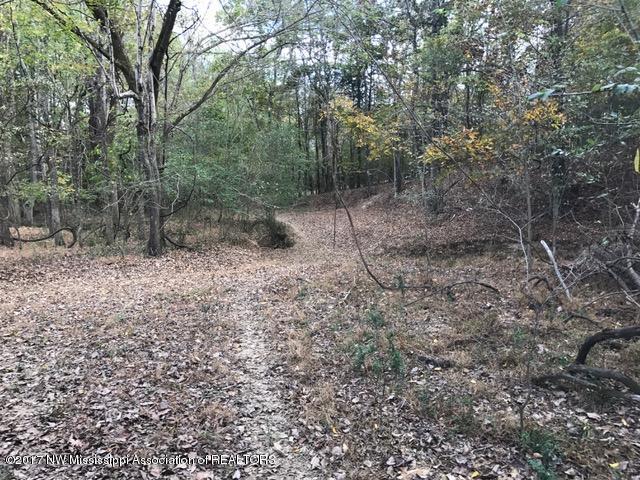64 Holly Springs Road Hernando, MS 38632 - Photo 7 of 17 IMG_7742