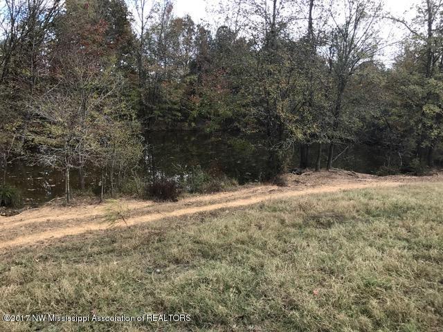 64 Holly Springs Road Hernando, MS 38632 - Photo 10 of 17 IMG_7746