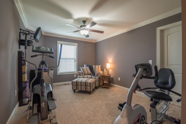 2488 Double Log Cabin Road Lebanon, TN 37087 - Photo 35 of 50 a room with gym equipment and windows