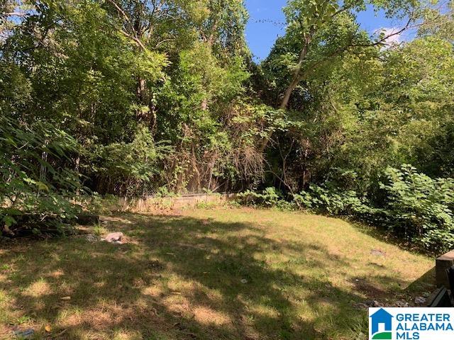761 Vanderbilt Street Birmingham, AL 35206 - Photo 3 of 4