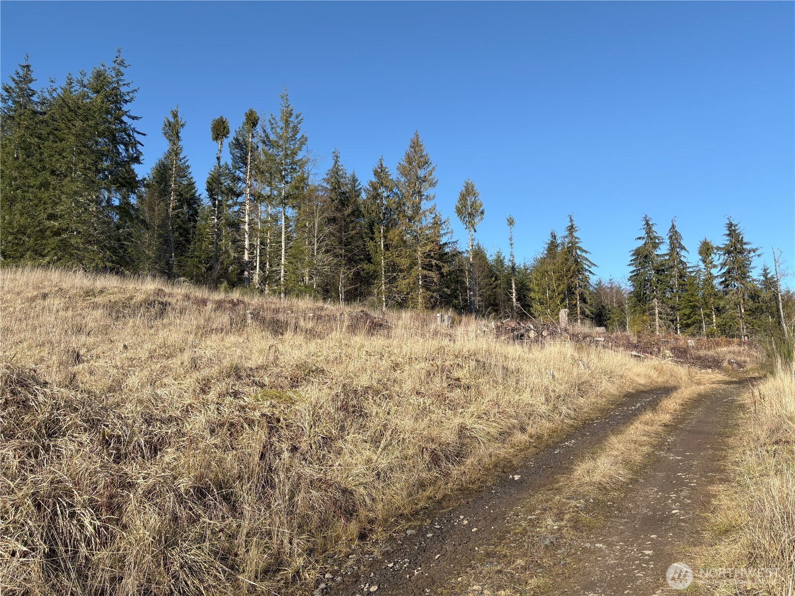 0 B-1000 Road Sequim, WA 98382 - Photo 9 of 16