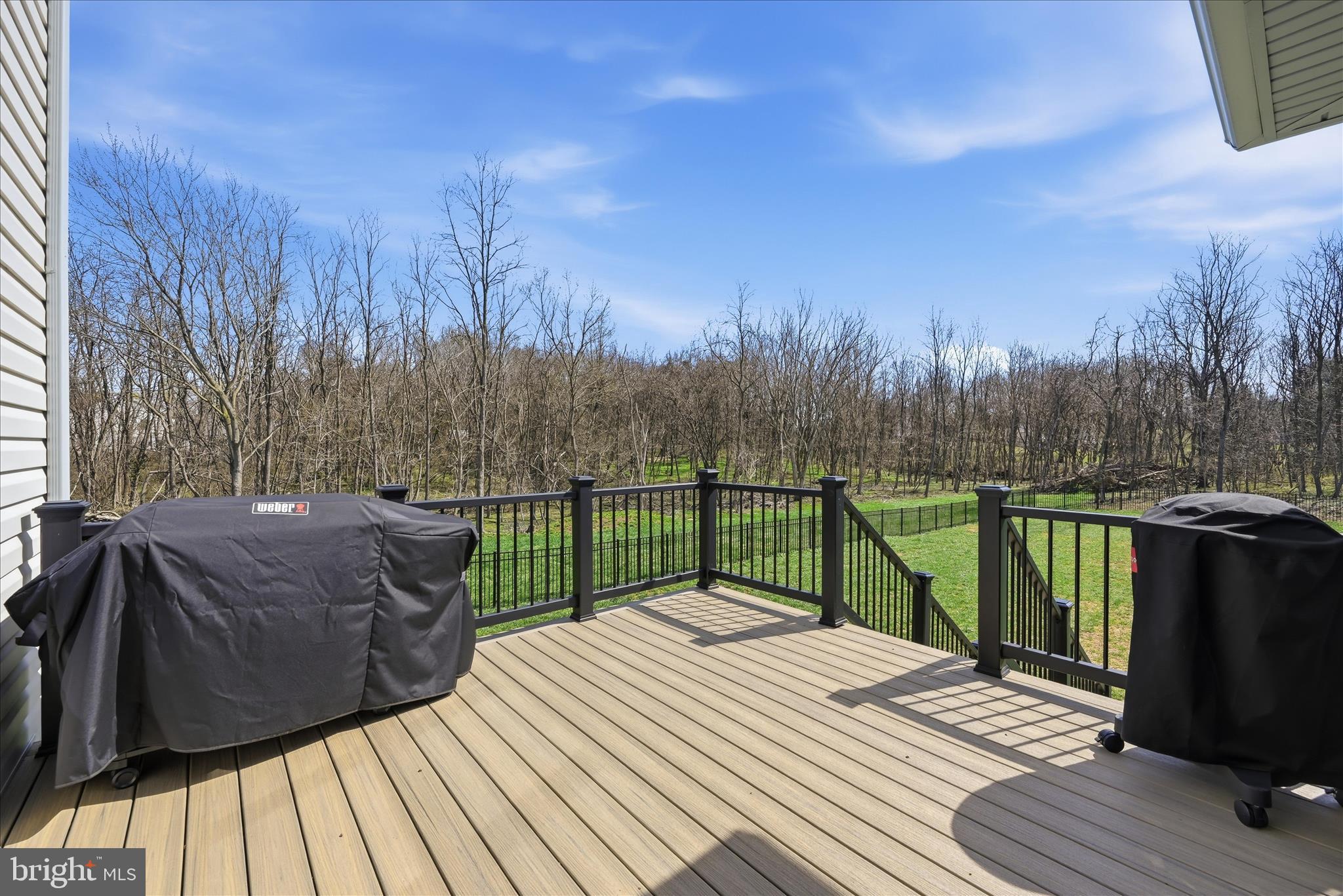 1434 Cloverdale Road Charles Town, WV 25414 - Photo 49 of 63 Trex deck