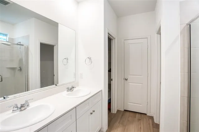 a bathroom with a sink a mirror and a shower