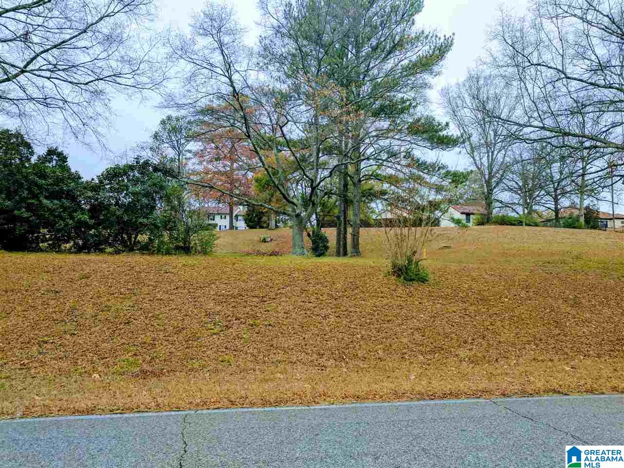 Baltzell Gate Road, Unit 1 45 Anniston, AL 36205 - Photo 19 of 19