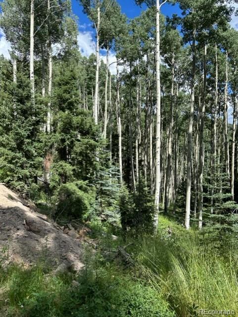 Tbd Del Norte, CO 81132 - Photo 2 of 9