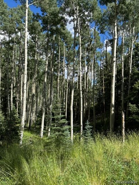 Tbd Del Norte, CO 81132 - Photo 3 of 9