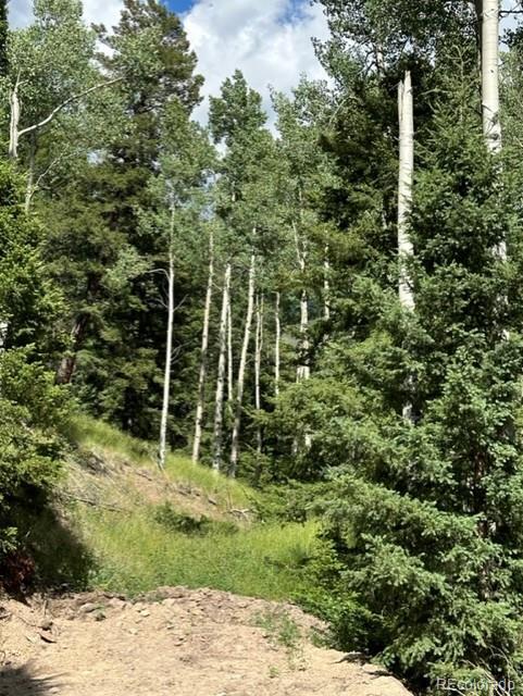 Tbd Del Norte, CO 81132 - Photo 4 of 9