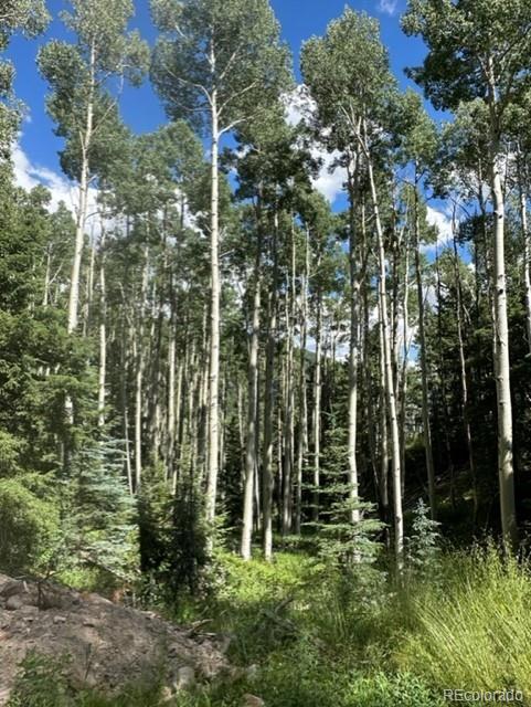 Tbd Del Norte, CO 81132 - Photo 5 of 9