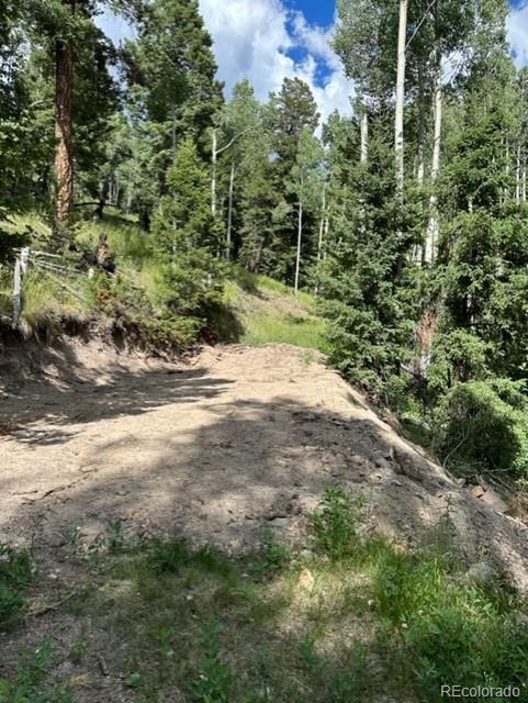 Tbd Del Norte, CO 81132 - Photo 6 of 9