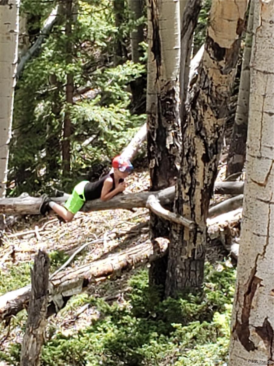 Tbd Del Norte, CO 81132 - Photo 7 of 9