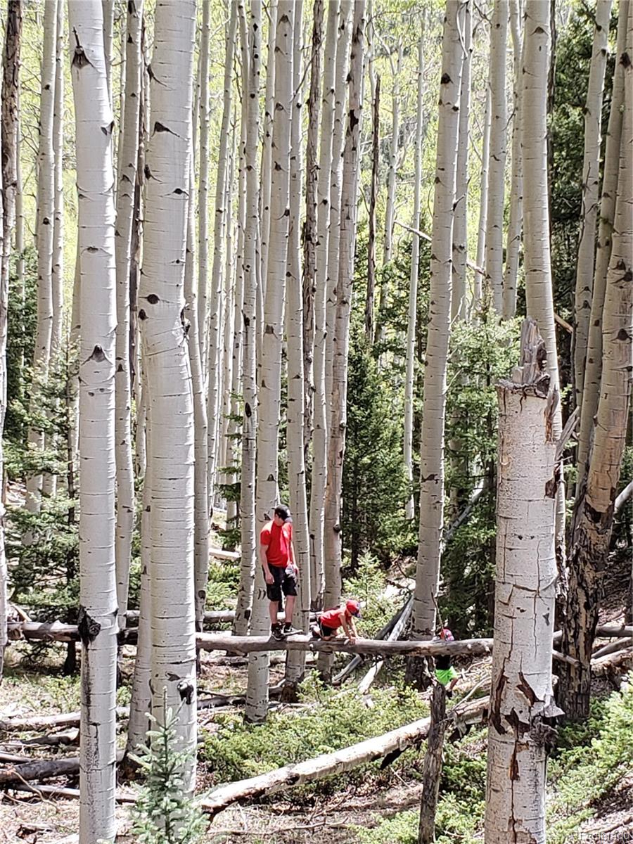 Tbd Del Norte, CO 81132 - Photo 8 of 9